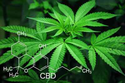 New Book Uses Science to Address CBD Misinformation