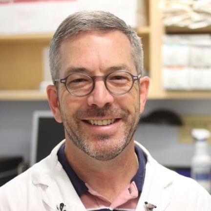 OVC Vet Talks Pet Safety in Heat Waves with Global News, TO Star