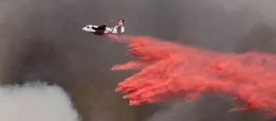 U of G Research Looks at How to Avoid Burning Up Wildfire Resources