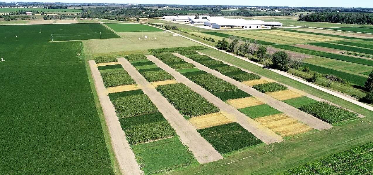 aerial view of several crop plots