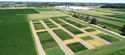 Food Security, Sustainable Farming the Aims of New Chair at U of G