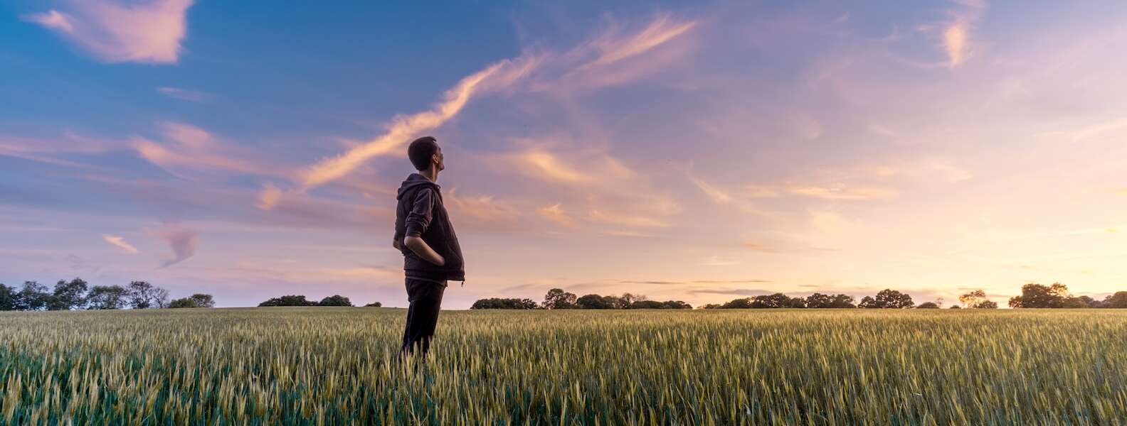 man on grass field looking at sky