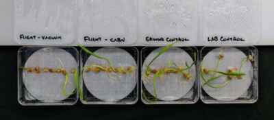 Sending Barley Seeds to Space a Successful Venture for U of G Researchers