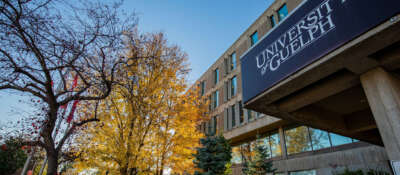 An Open Letter to U of G Students: Respecting Our Community During Homecoming