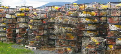 Include Climate Change, Precaution to Save Snow Crab Fisheries: U of G Ecologist