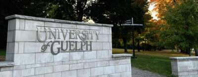U of G Establishes Anti-Racism Policy Statement