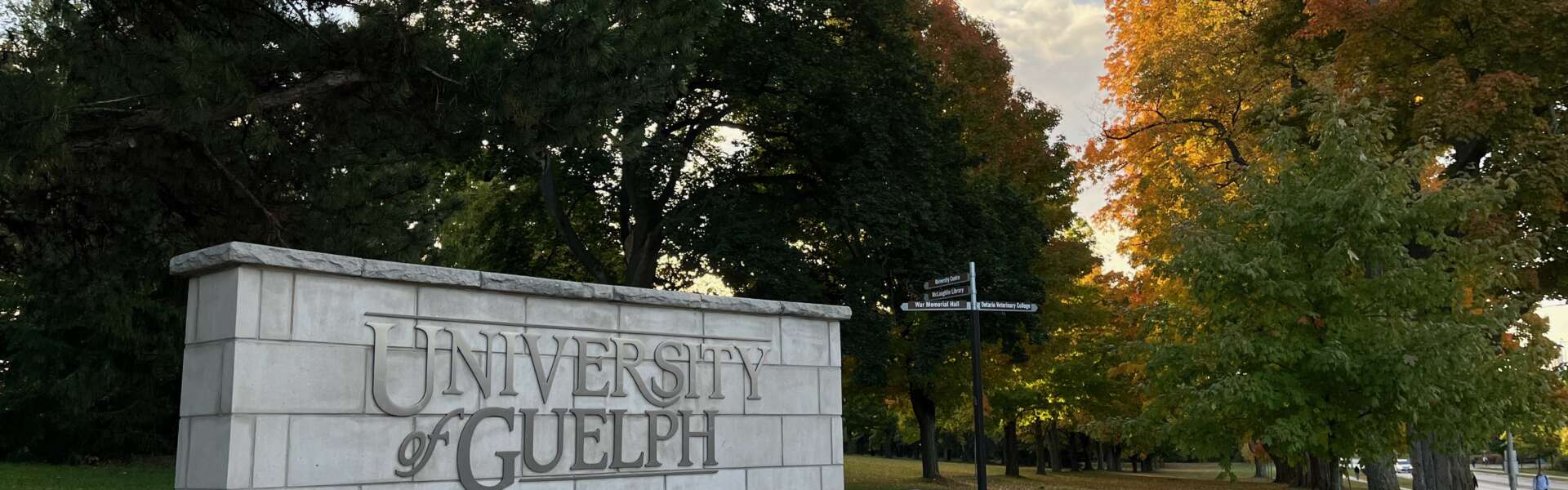 The University of Guelph sign is pictured among trees.