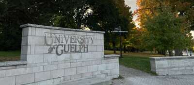 U of G Appoints New Vice-President (External)