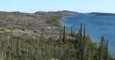 An Attack on Indigenous Rights Is an Attack on Nature Conservation