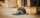 A person in a coat, jeans and black socks lies on a sidewalk in front of a store.