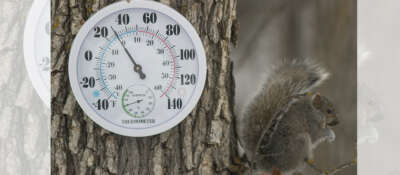 U of G-Developed Climate Model to Help Adapt to Cold, Heat Extremes