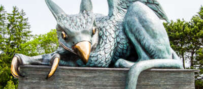 Vandalism on Gryphon Statue