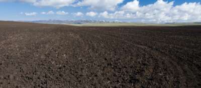 World Soil Day: U of G Testing Technique Promises Healthier Soil, Food