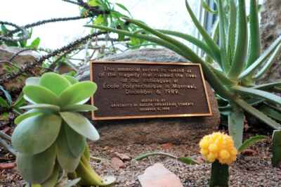 Women in U of G Engineering Reflect on Anniversary of École Polytechnique Tragedy