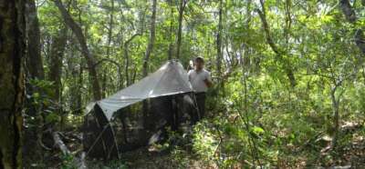 U of G Lands Funding for DNA Barcoding in Biodiversity ‘Hot Spot’ 