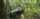 a man stands in a tropical forest holding a bottle in front of a large malaise trap