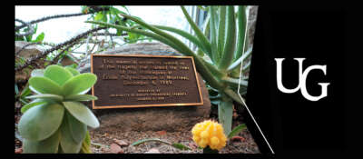 Annual Vigil Helps Further Awareness of 1989 Montreal Massacre  