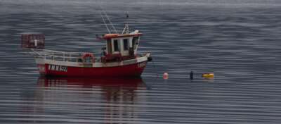 Attention to Socio-Economic Dynamics Needed Amid Fish Stock Rebuilding: U of G Geographer