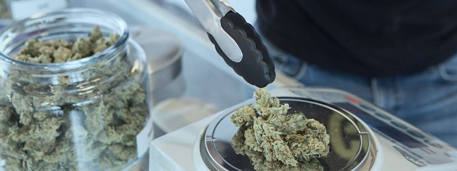 hand holding tongs picks up cannabis