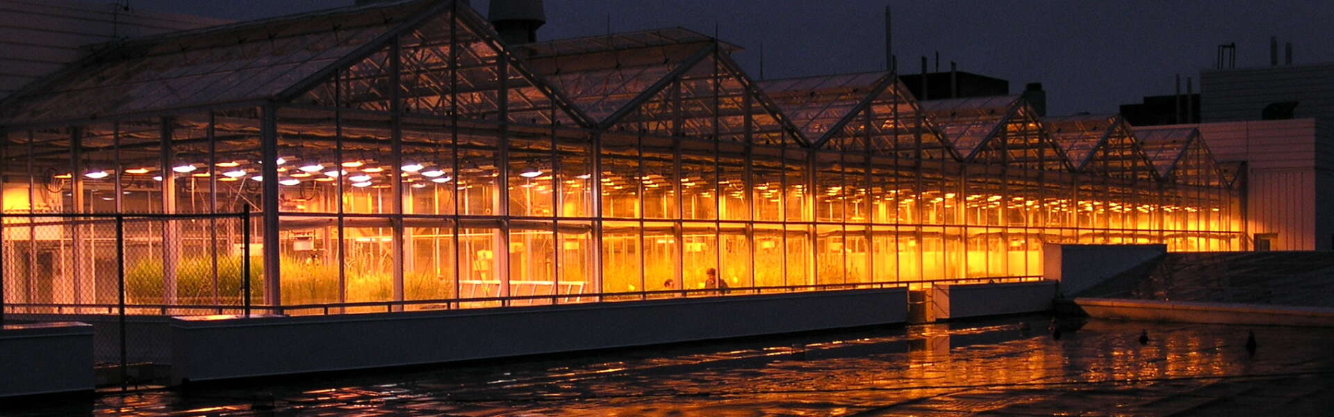 Glass buildings glowing yellow at night