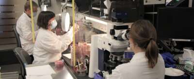 U of G 2nd in National Research Rankings, Earns Spotlight for Granting Council Income