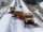 Three yellow snow plows lead traffic on a snowy road