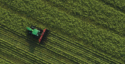 Province Invests More Than $ 343M in U of G Through Ontario Agri-Food Innovation Alliance
