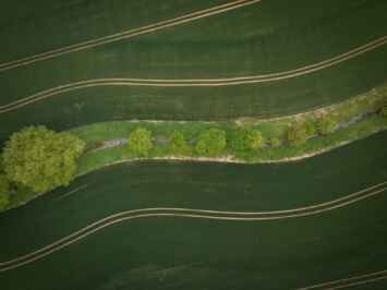Soil Microbes Contribute to Climate Change, New U of G Research Finds