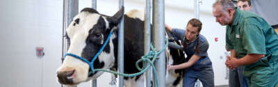 Answering the Call: A Look at U of G, Lakehead’s Historic Veterinary Medical Training Expansion