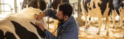 Ontario Improving Access to Veterinary Care in Remote and Northern Communities