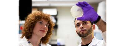 Snail Compounds Can Disarm Deadly Fungal Pathogen,  U of G Researchers Discover