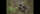 four baby birds stand on a branch and call out while flapping their wings and