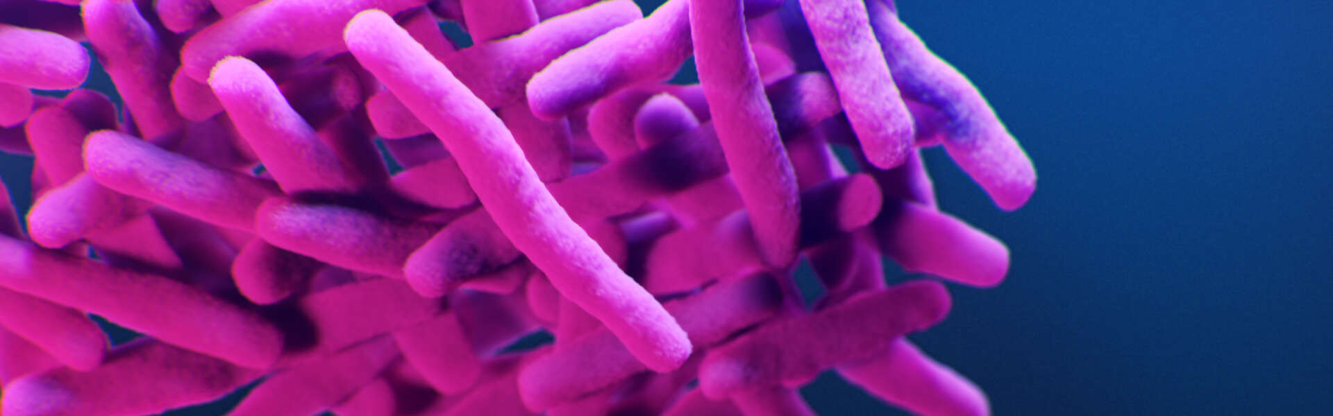 An illustration of Mycobacteria spirochetes