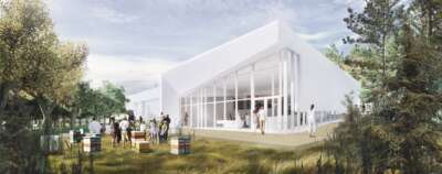 Digging Bees: U of G Breaks Ground on New Honey Bee Research Centre