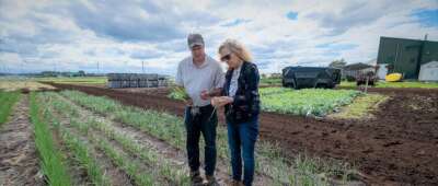 From Food Security to Farm Robotics, Province Invests $ 8 Million in U of G Research