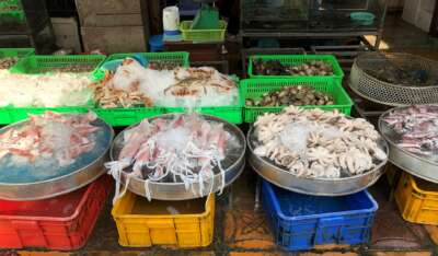 COMMENTARY: Food Safety Policy Neglects Informal Markets in Developing Countries