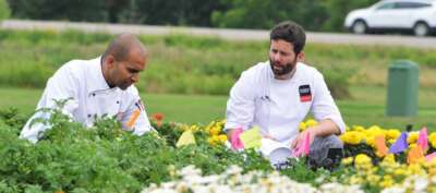 U of G Celebrates 20 Years of Food Day Canada