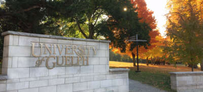U of G’s Dr. Gwen Chapman, Provost and Vice-President (Academic) to Retire July 2024