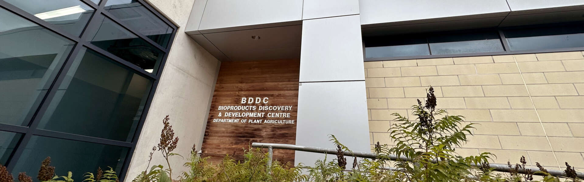 WB Family Foundation Invests $1M to Advance Sustainable Materials Research at U of G 