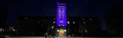 U of G’s Research on Violence Against Women and Girls Has Global Impact