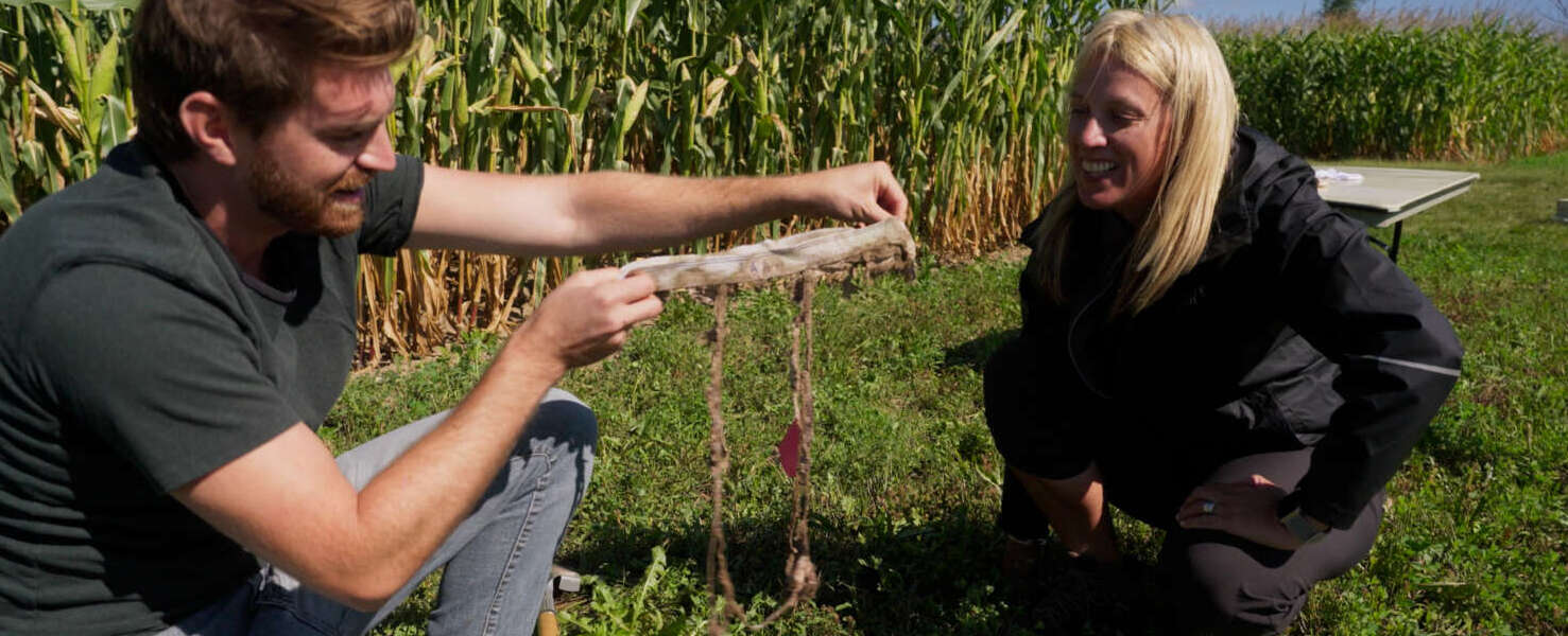 Two people crouch in the green grass in front of a field of crops holding the elastic waistband of white underwear buried in soil for experimentation.
