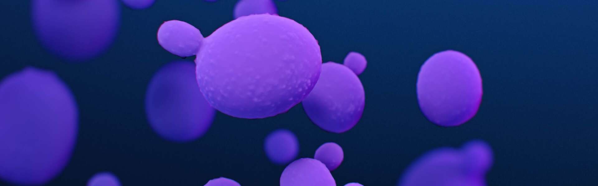 Small gobules on a blue background illustrates candida fungus