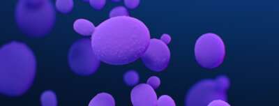 U of G Researchers Take New Approach to Antimicrobial Resistance