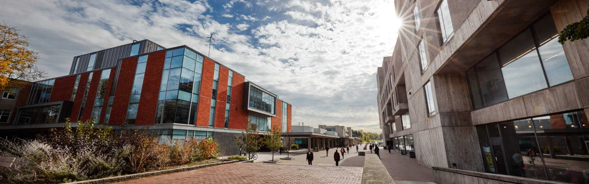 The pathway beside Albert A. Thornbrough building.