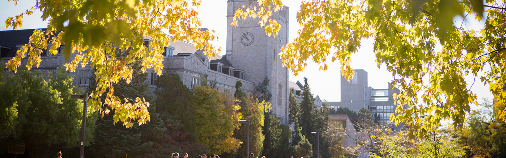 Looking through yellow leaves at Johnston Hall.