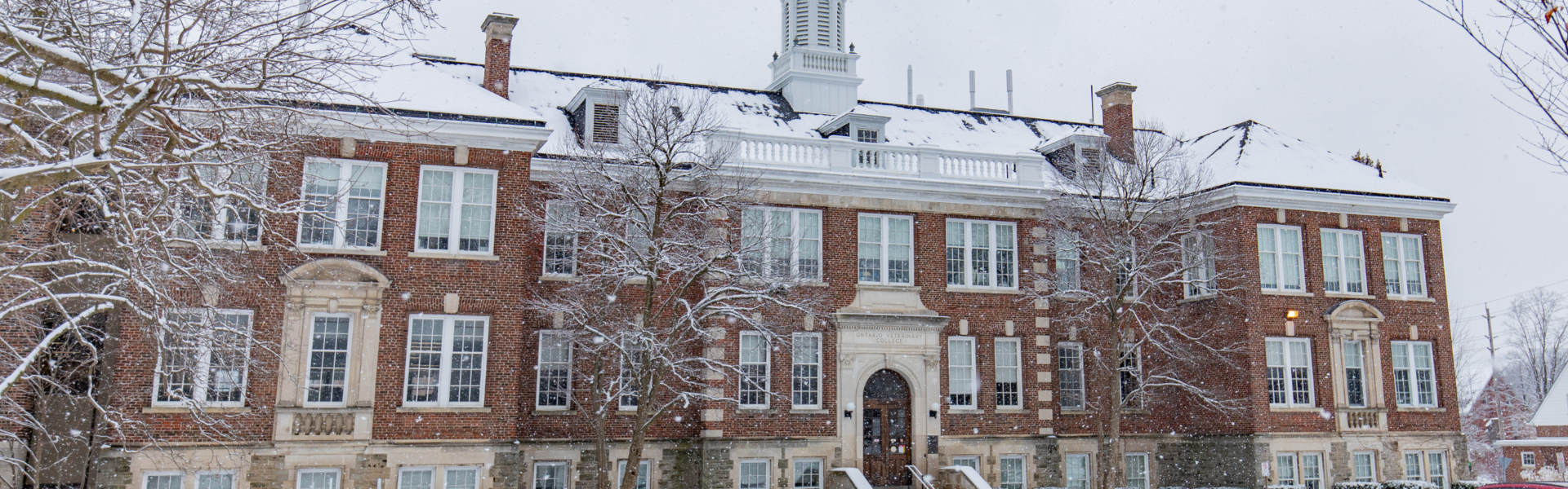 OVC main building on a snowy winter day.
