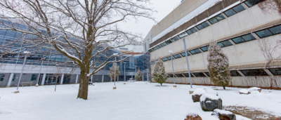 U of G Names New Dean, College of Computational, Mathematical and Physical Sciences