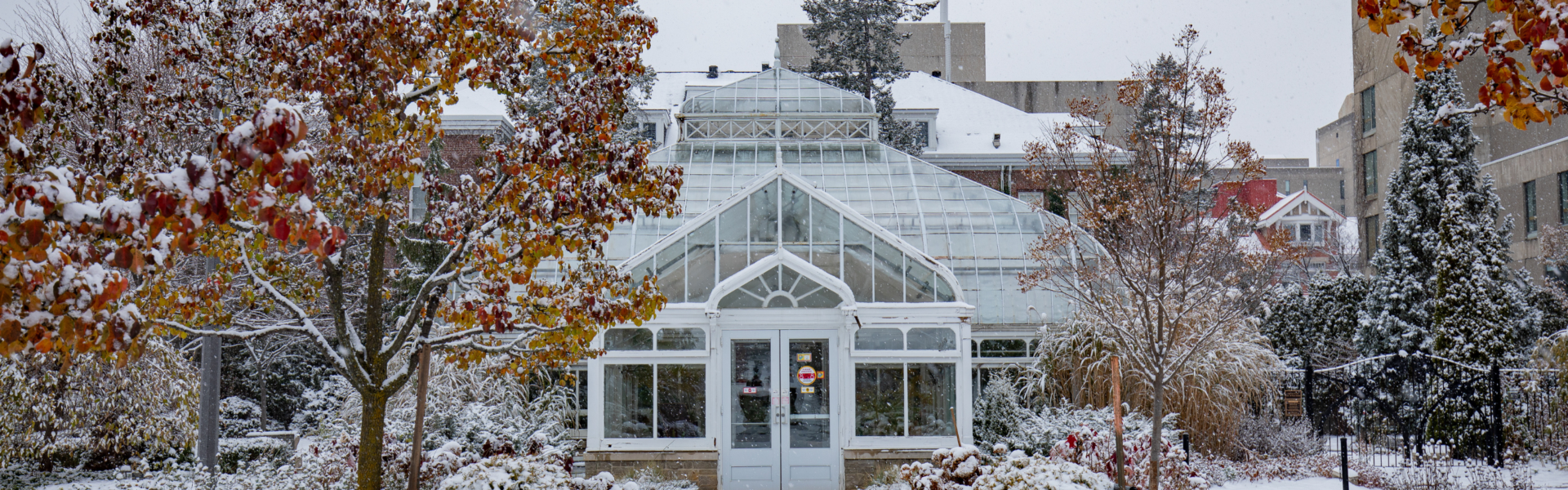 Campus buildings on a snowy winter day.