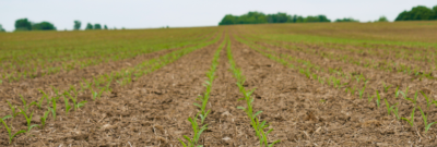 Cultivating Innovation for World Soil Day
