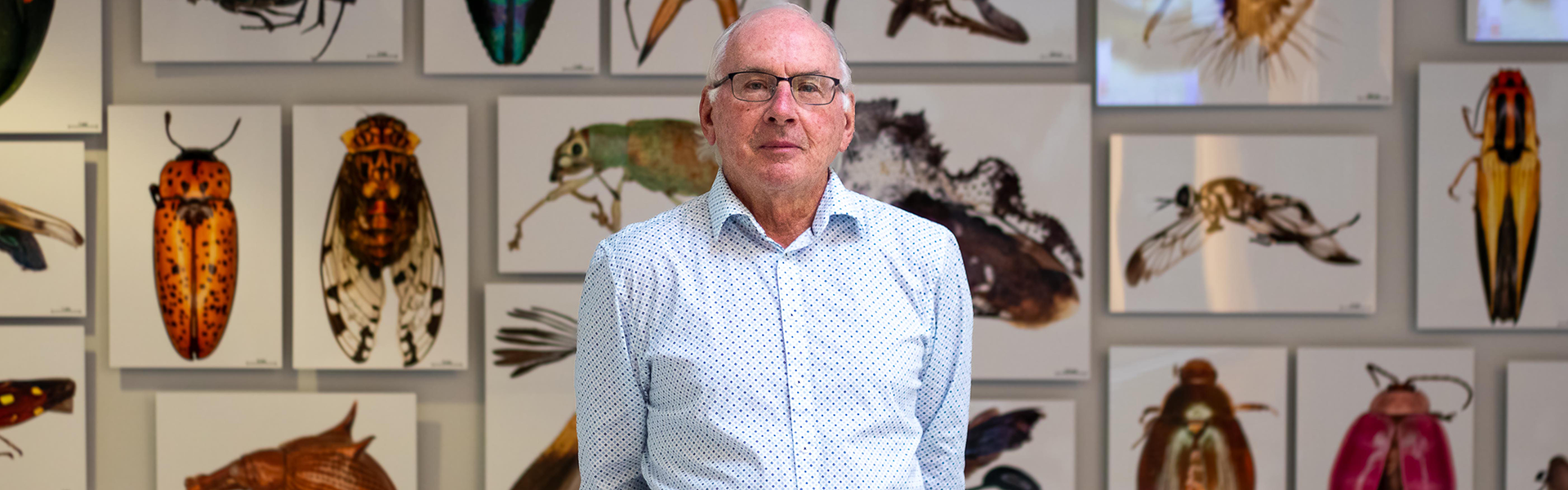 A man in a white and blue button-up shirt wearing black wire-framed glasses stands in front of a wall of photos of insects with his hands behind his back, looking into the camera.